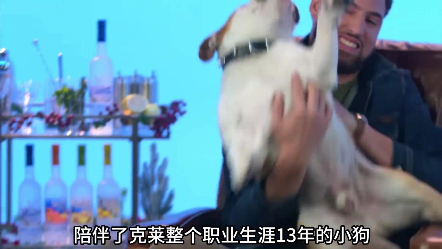 陪伴克萊13年的小狗去世了，不敢相信克萊得多么傷心